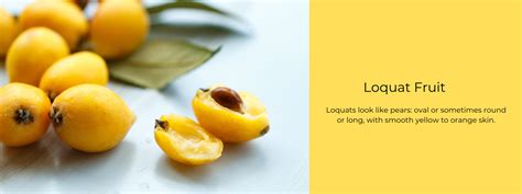 Loquat Fruit - Health Benefits, Uses and Important Facts - PotsandPans ...