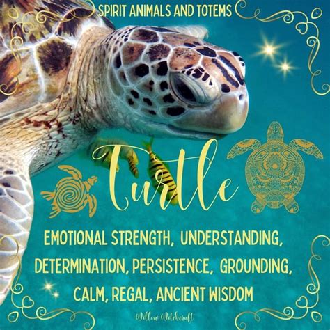 Spirit Animals and Totems - Turtle in 2023 | Spirit animal, Animal ...