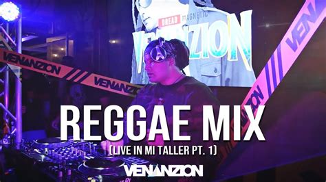 Dj Venanzion X Reggae Mix - 2023 Best Reggae Live Set - YouTube