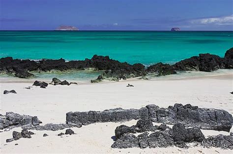 Best Beaches in Santa Cruz Island @Galapagos 2020 | Galapagos Low Cost