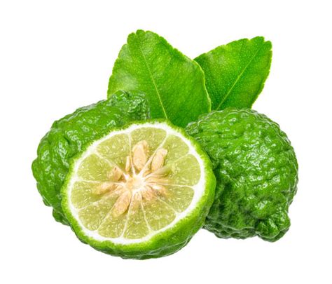 Best Bergamot Fruit Stock Photos, Pictures & Royalty-Free Images - iStock