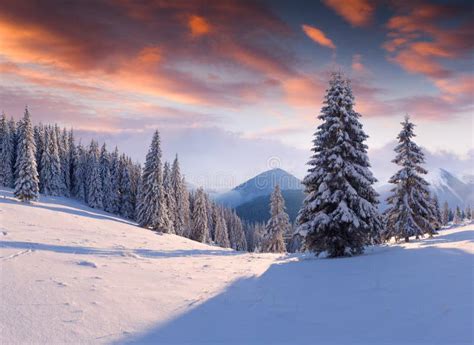 Beautiful Winter Sunrise in Mountains Stock Image - Image of idyllic, fairytale: 35986685