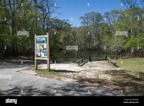 Manatee Springs State Park, Florida USA Stock Photo - Alamy