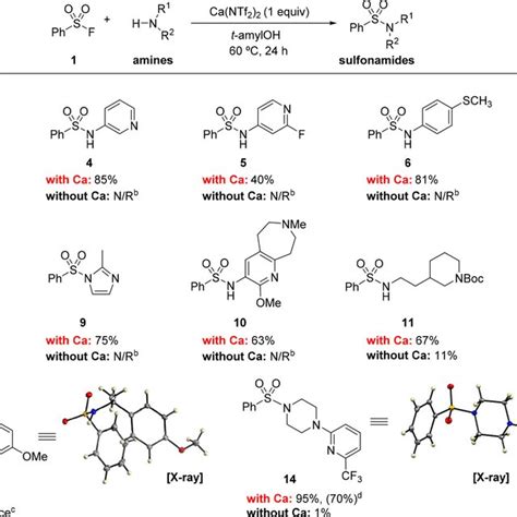 (PDF) Sulfonamide Synthesis via Calcium Triflimide Activation of Sulfonyl Fluorides