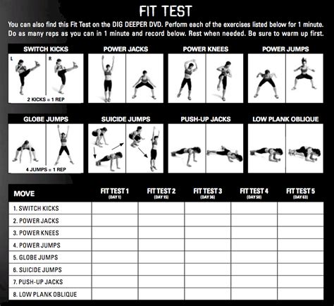 Insanity Fit Test Exercises & Sheet