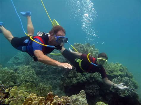 SNUBA Diving: A Great Alternative to SCUBA & Snorkeling - OpenWaterHQ