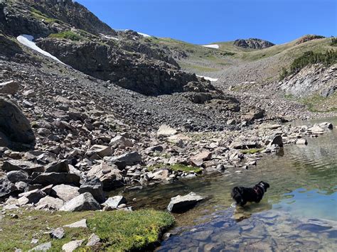 Photos of Lost Lake Trail - Colorado | AllTrails