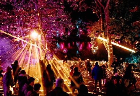 Light up your Christmas with Windsor Great Park’s illuminations – Reading Today Online