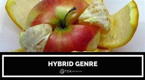 What is a Hybrid Genre? - TCK Publishing