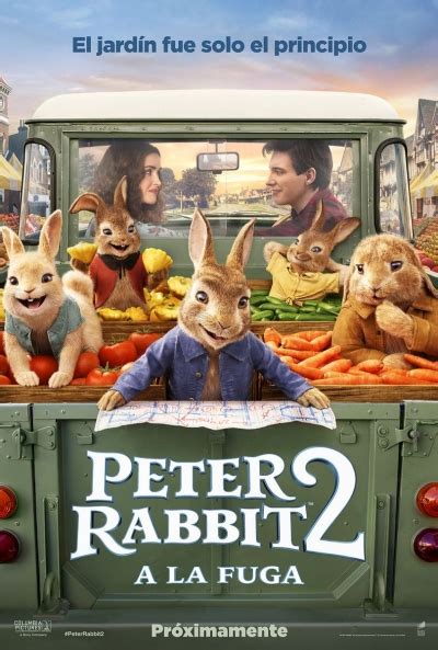 Peter Rabbit Movie Novelisation | ubicaciondepersonas.cdmx.gob.mx