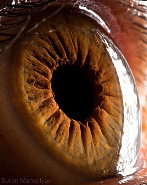 Extreme close up of a human eye. Photo by Suren Manvelyan. I love this one because you can see ...