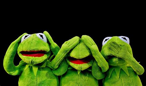 Kermit Meme Wallpapers - Top Free Kermit Meme Backgrounds - WallpaperAccess