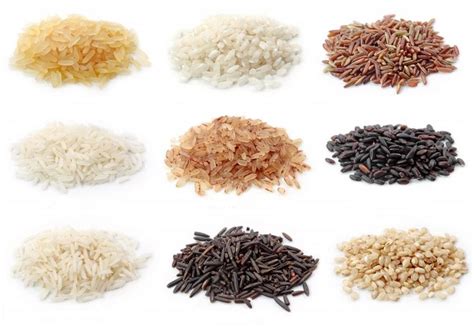 Interesting facts about rice – Just Fun Facts