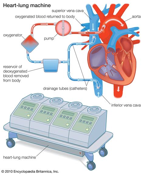 Oxygenator | instrument | Britannica