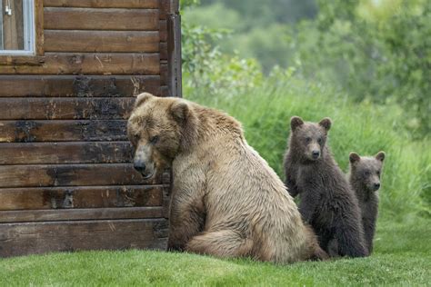 Camping World's Guide to RVing Katmai National Park