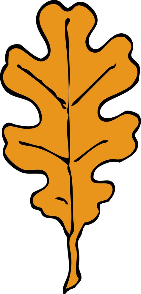 Clipart - oak leaf