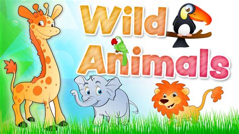 The ANIMALS for kids - Wild animals english vocabulary - YouTube