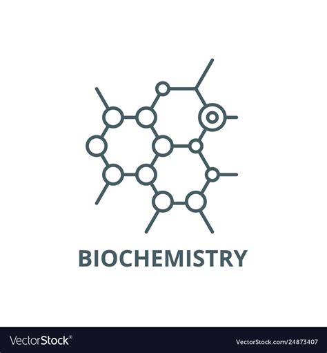 Biochemistry line icon Royalty Free Vector Image