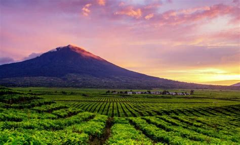 Mendaki Salah Satu Gunung Tertinggi di Indonesia, Gunung Kerinci