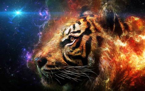 ContraElMaltratoAnimalTodosUnidos: Fondo de pantalla de tigre fuego y ...