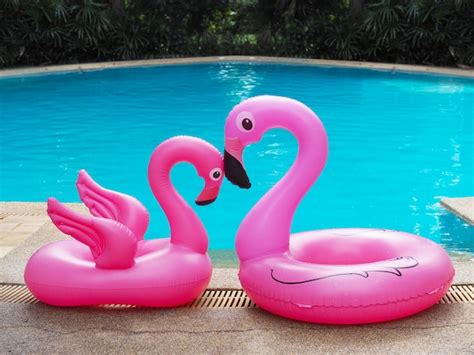 Premium Photo | Two pink flamingo family near swimming pool