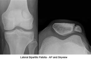 Ortho Blog - Carolinas Electronic Compendium