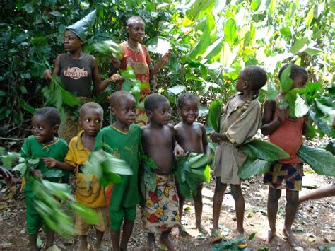 Improving the health of an indigenous Baka village - GlobalGiving