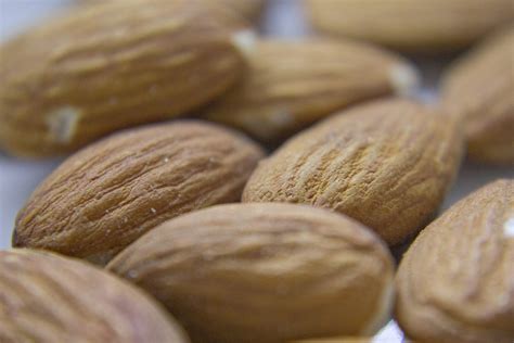 Free Almonds Stock Photo - FreeImages.com