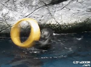One ring to rule them all! : r/gifs
