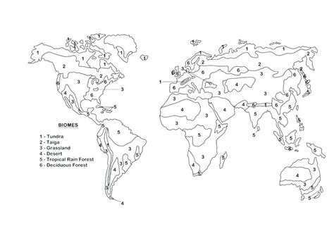 Biome Map Coloring Worksheet Answer Key Kids World | Map worksheets, Color worksheets, Biomes