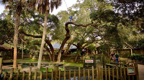 St. Augustine Alligator Farm Zoological Park in St. Augustine, Florida | Expedia