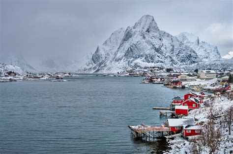 Premium Photo | Reine fishing village, norway