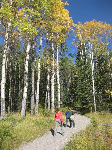 Banff Hiking Trails C Level Cirque in Banff National Park