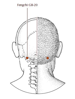 5 Acupressure points to combat WFH “tech neck” — Turning Pointe Acupuncture + Wellness