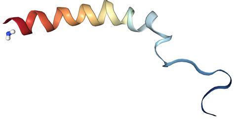 Neuropeptide Y Protein Overview | Sino Biological