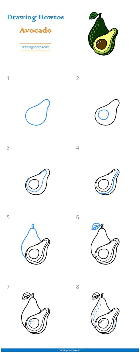 How to Draw an Avocado - Step by Step Easy Drawing Guides - Drawing Howtos