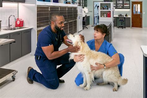 Rarebreed Veterinary Partners - What do you love about veterinary medicine?