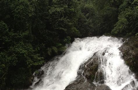 Top 10 Famous Waterfalls in Goa That You Must visit in 2024