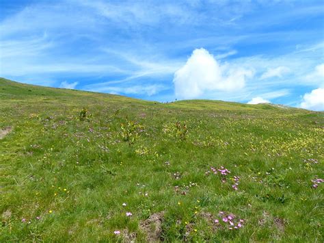 Small luggage tag Farm House Decor Flower Meadow over the Village Mountains in a Row Grass Fresh ...