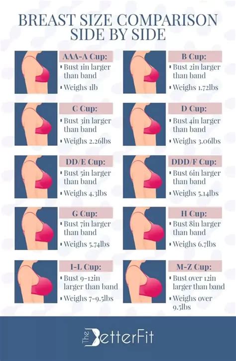 Breast Size Comparison Side by Side | Breast sizes chart, Bra size charts, Bra hacks