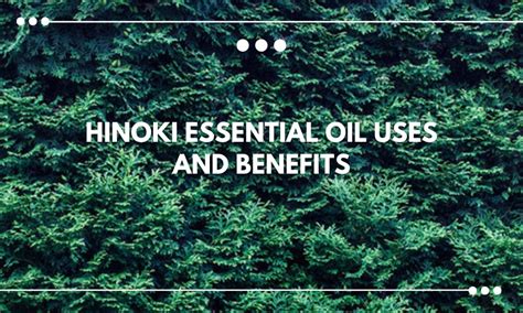 Hinoki Essential Oil – BALM Aromatherapy