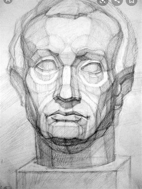 Drawing Heads, Human Drawing, Face Drawing, Human Anatomy Art, Anatomy For Artists, Potrait ...