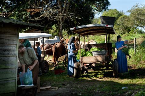 Mennonites in Belize: Unique meeting back in time | The Family Without Borders