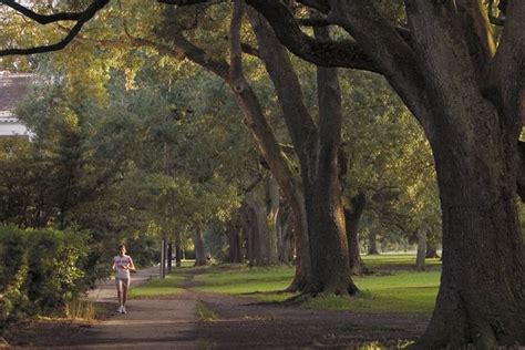 Audubon Park | Audubon park, Favorite places, Sister cities