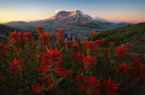 Tutorial: Focus Stacking for Landscape Photography - 500px