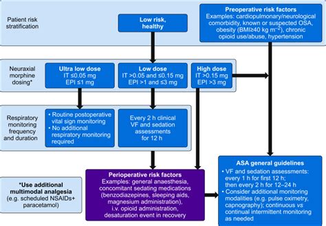 Evidence-based guidance for use of intrathecal morphine as an alternative to diamorphine for ...