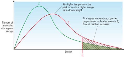 The Effect Of Temperature On The Rate