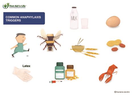 Food Allergies and Anaphylaxis - Triggers and How To Help