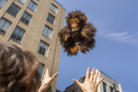 Flying Monkey Royalty Free HD Stock Photo and Image