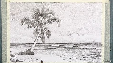 Coconut Trees Beach Drawing